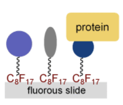 Fluorous Tags Catching on Microarrays