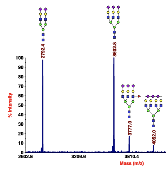 Recent advances in the analysis of complex glycoproteins