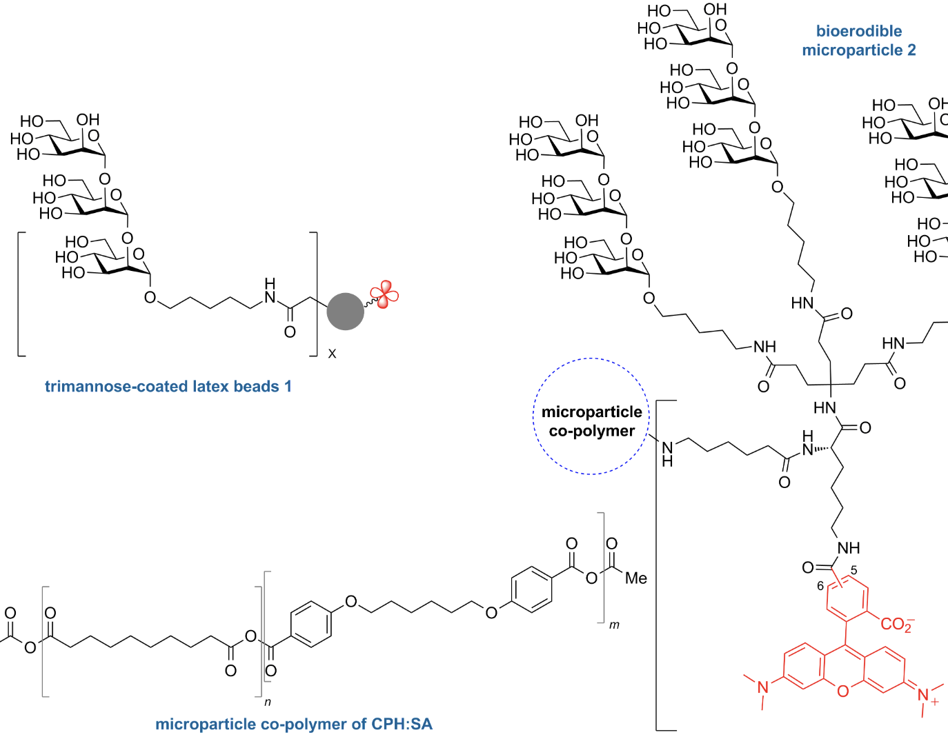 Design and synthesis of multivalent α-1,2-trimannose-linked bioerodible microparticles for applications in immune response studies of Leishmania major infection
