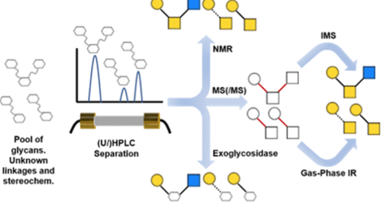 Advancing solutions to the carbohydrate sequencing challenge