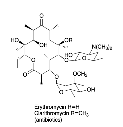 Developing New Antibiotics With Combinatorial Biosynthesis