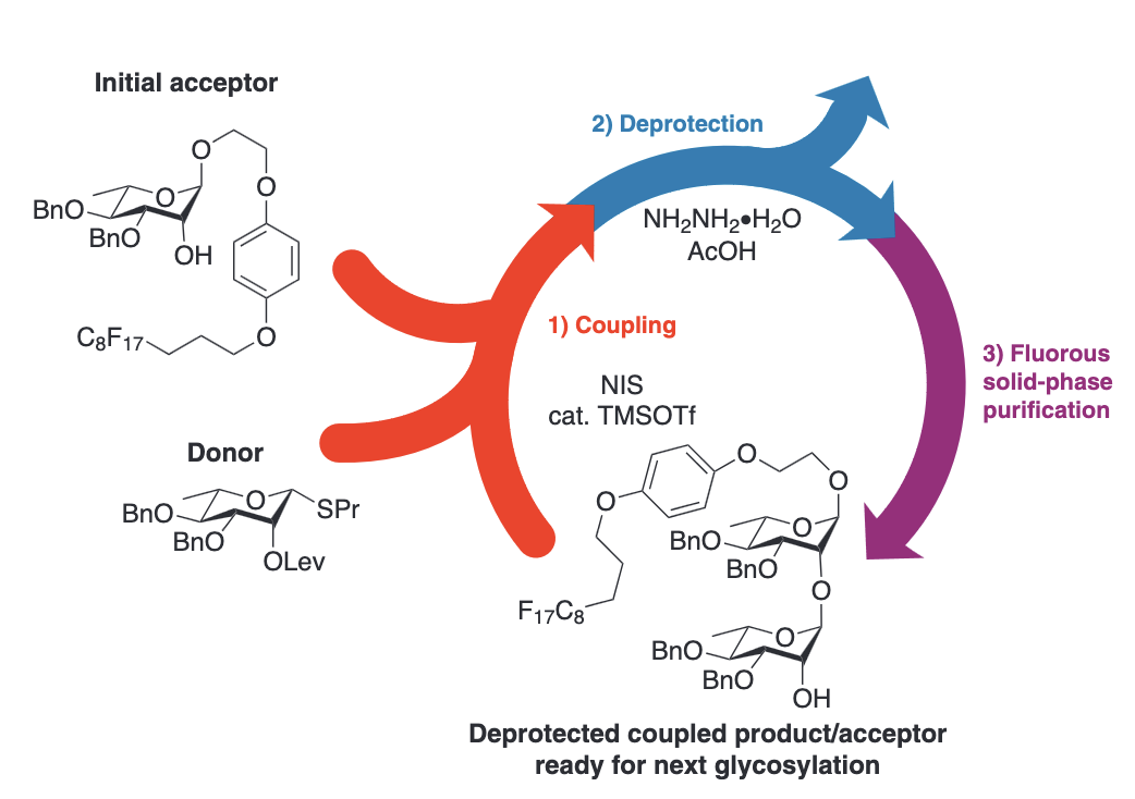 Acid-mediated N-iodosuccinmide-based thioglycoside activation for the automated solution-phase synthesis of alpha-1,2-linked-rhamnopyranosides