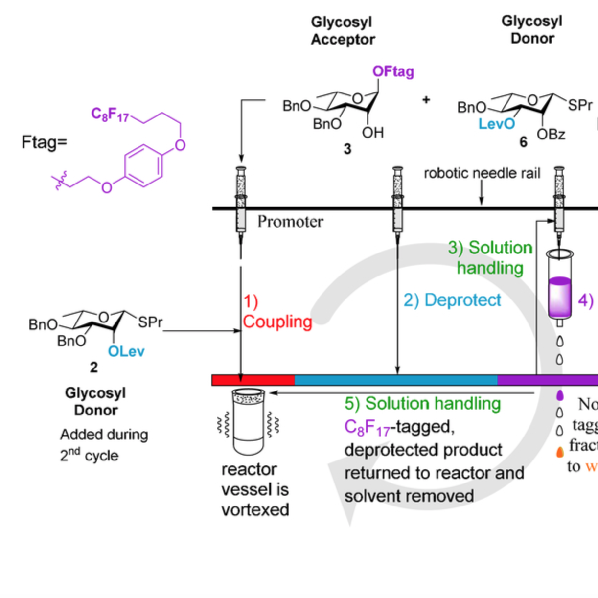 Automated solution-phase synthesis of alpha-1-2, 1-3-type rhamnans and rhamnan sulfate fragments.